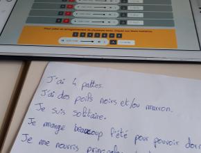 20230320_111121_2.jpg Thumbnail